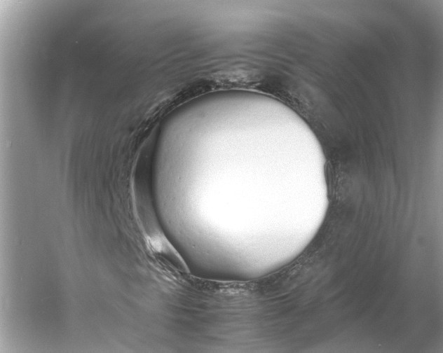 X0000060751297200512011436