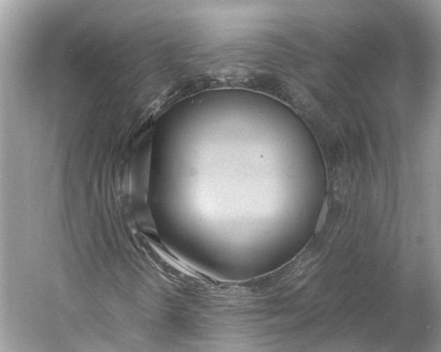 X0000060751298200512011436