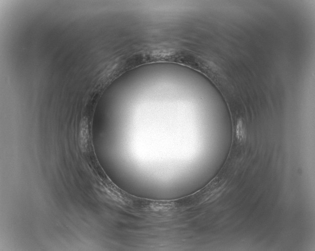 X0000060751299200512011436