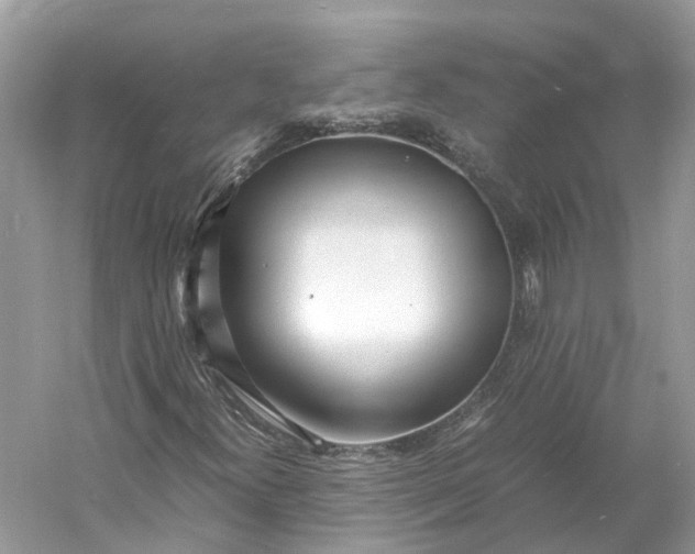 X0000060751300200512011436