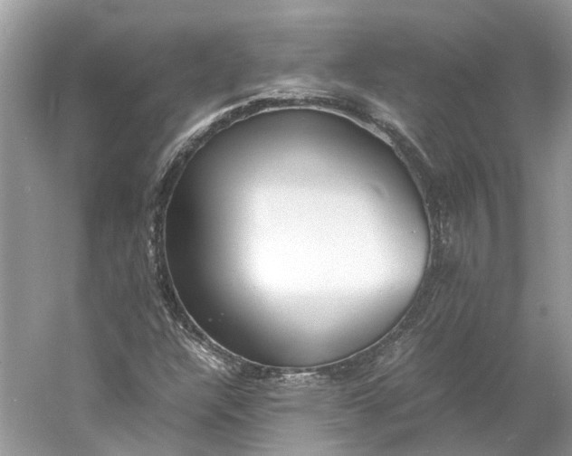 X0000060751304200512011436
