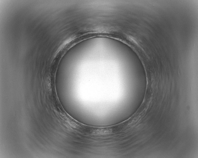 X0000060751307200512011436