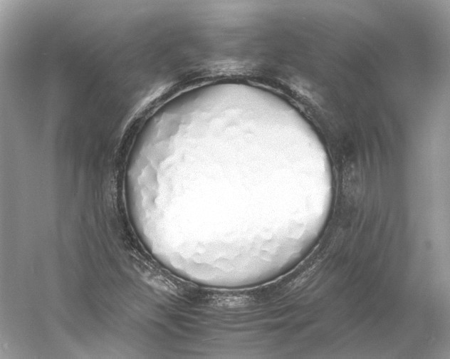 X0000060751309200512011436