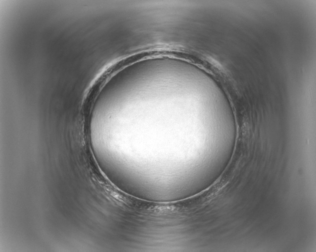 X0000060751310200512011436