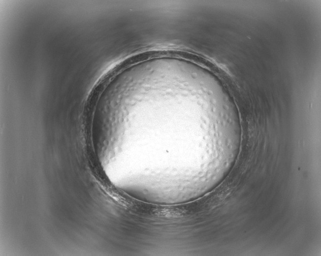 X0000060751311200512011436