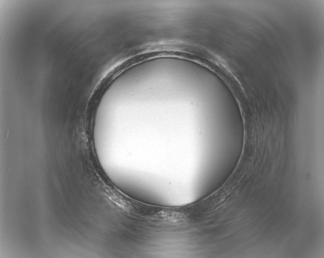 X0000060751312200512011436