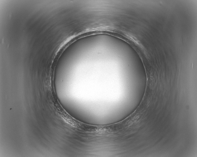 X0000060751316200512011436