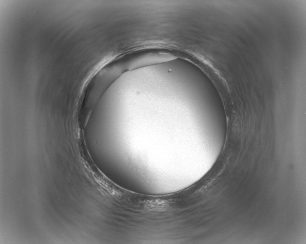 X0000060751317200512011436