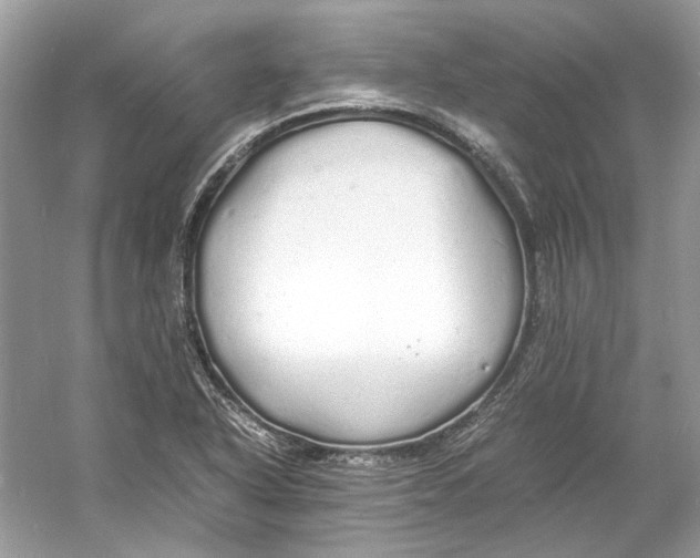 X0000060751318200512011436
