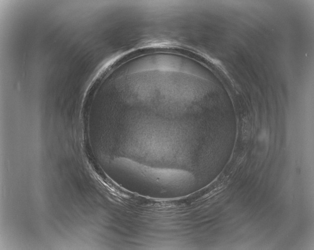 X0000060751319200512011436