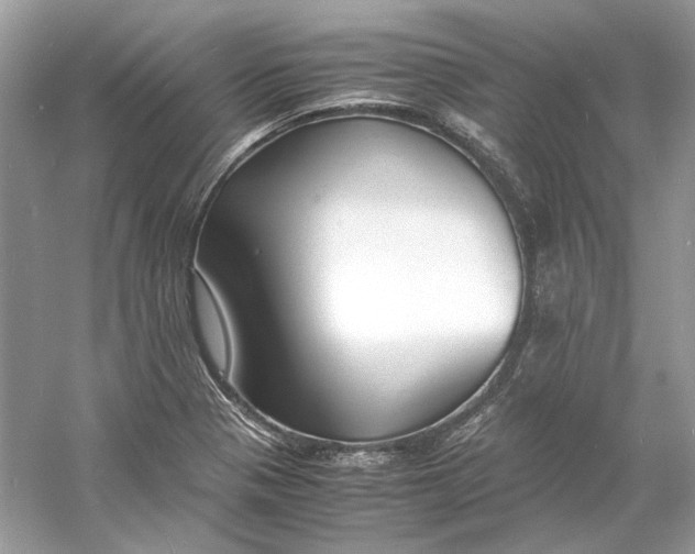 X0000060751321200512011436