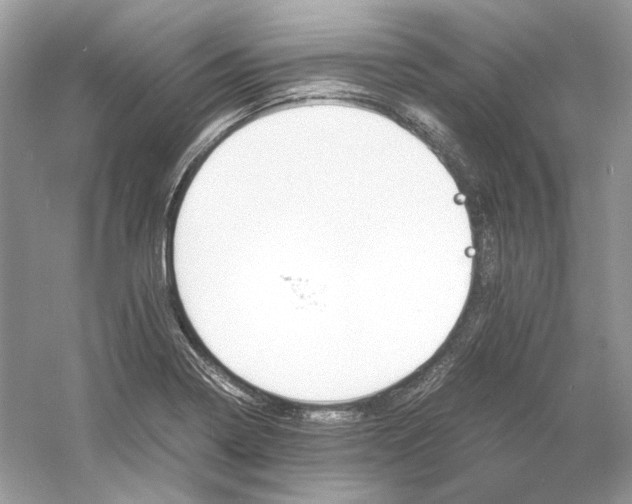 X0000060751322200512011436
