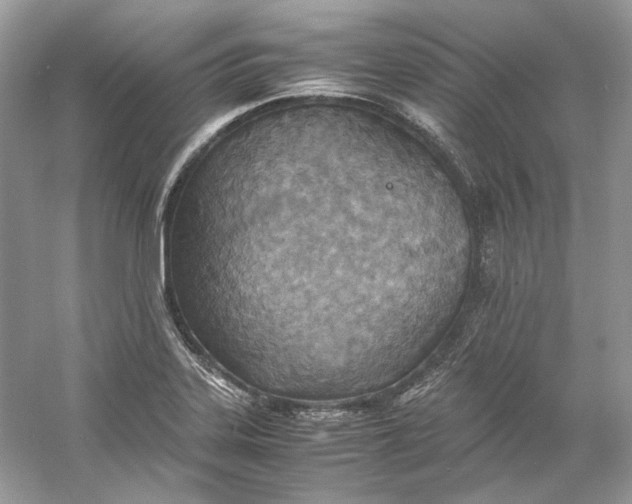 X0000060751323200512011436
