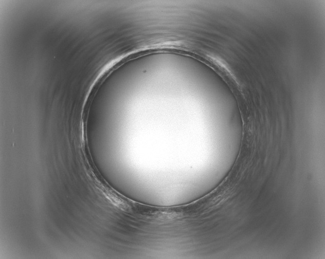 X0000060751324200512011436