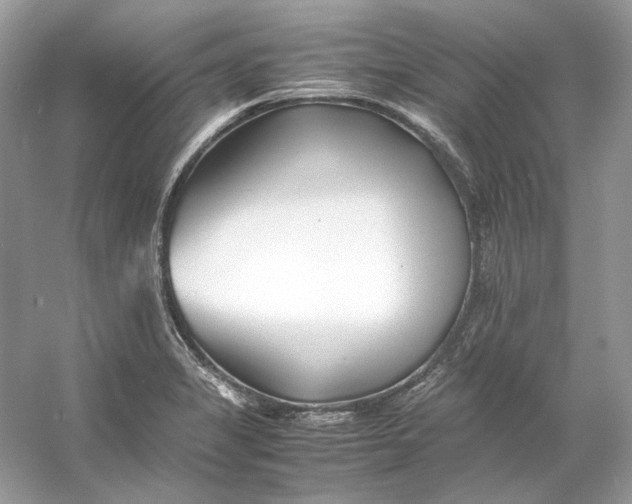 X0000060751325200512011436