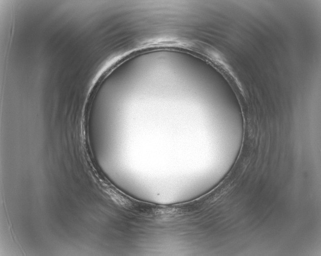 X0000060751328200512011436