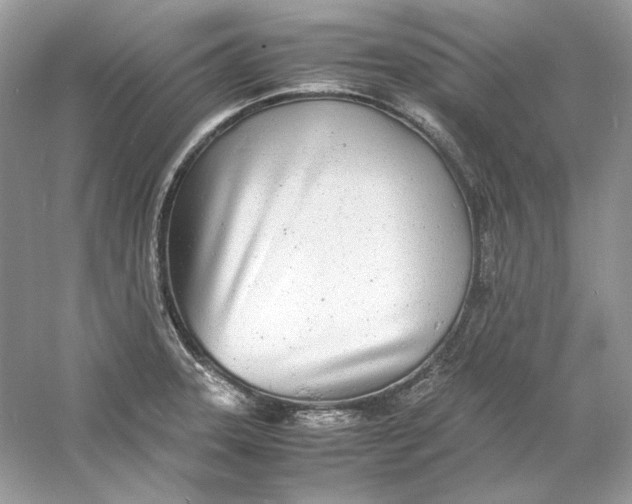 X0000060751331200512011436