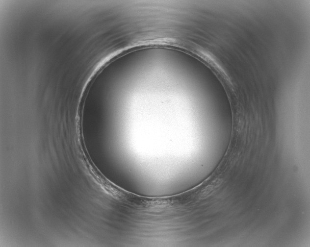 X0000060751332200512011436