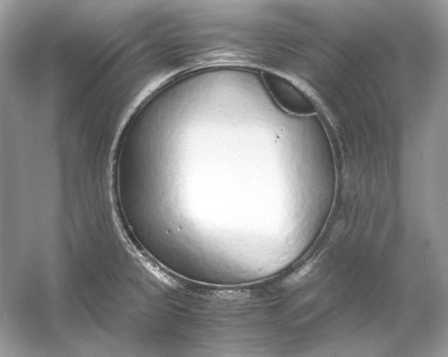 X0000060751333200512011436