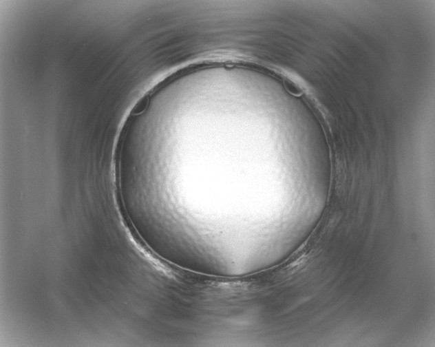 X0000060751335200512011436