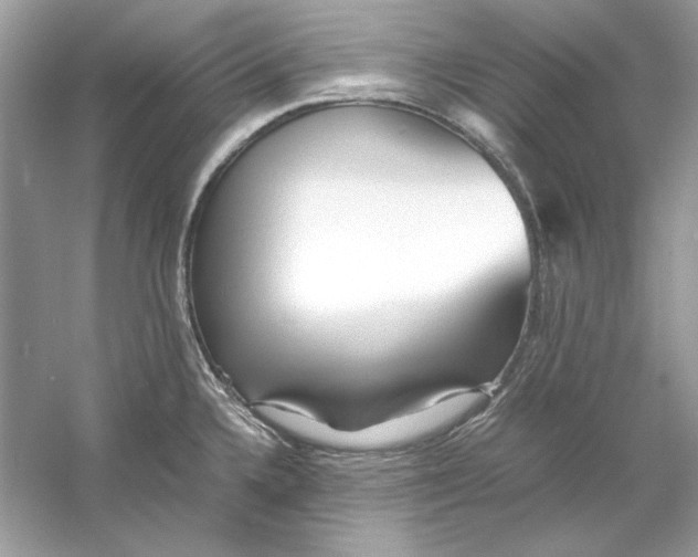 X0000060751336200512011436