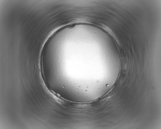 X0000060751339200512011436