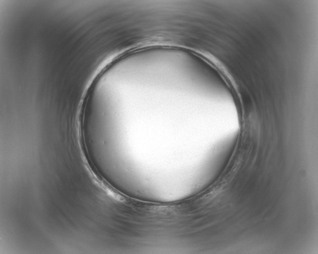 X0000060751341200512011436