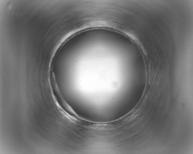 X0000060751342200512011436