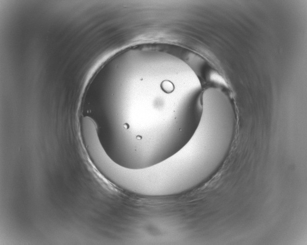 X0000060751344200512011436