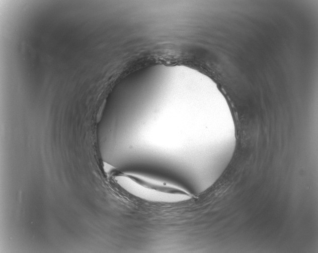 X0000060751345200512011436