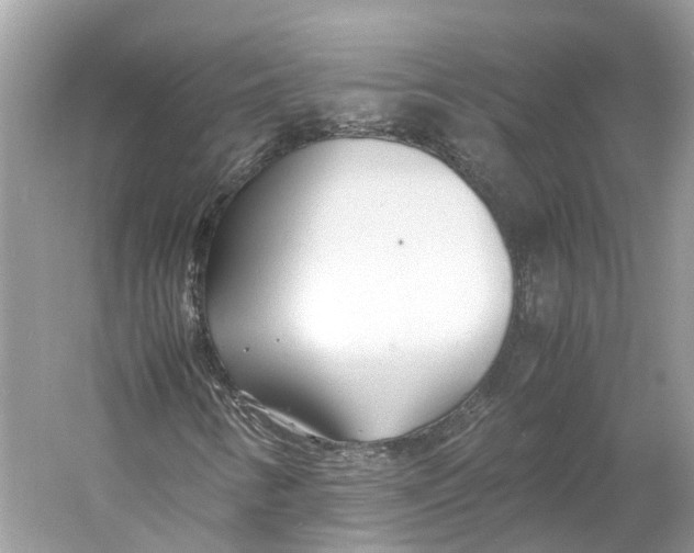 X0000060751346200512011436