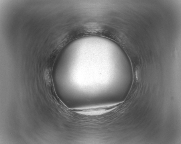 X0000060751347200512011436