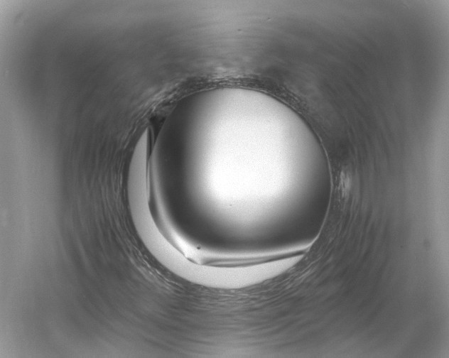 X0000060751348200512011436