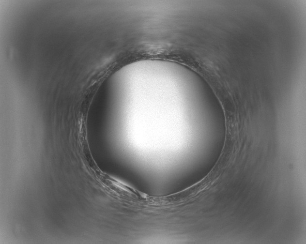 X0000060751349200512011436