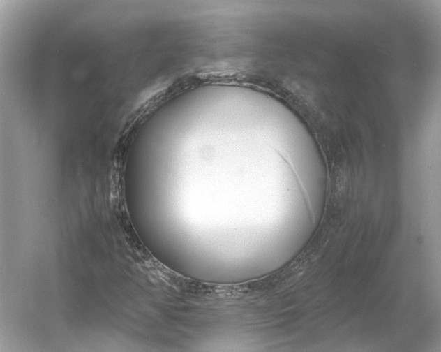 X0000060751350200512011435