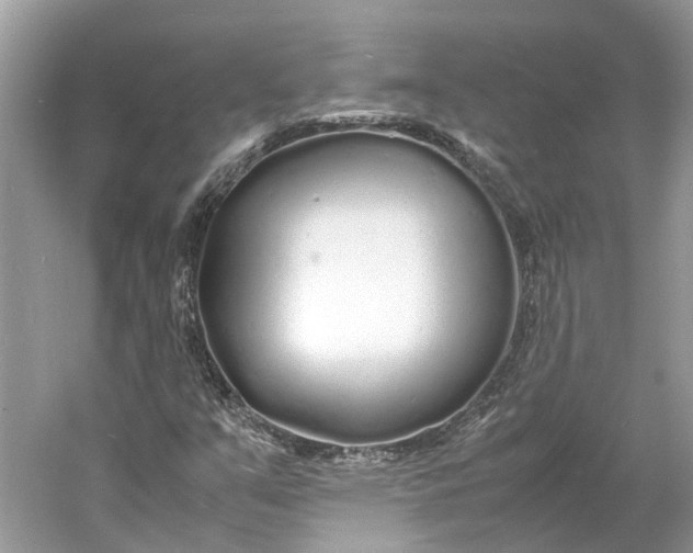 X0000060751351200512011435