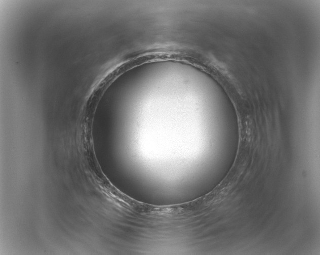 X0000060751352200512011435