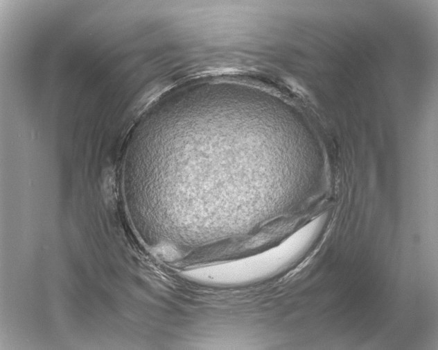 X0000060751353200512011435