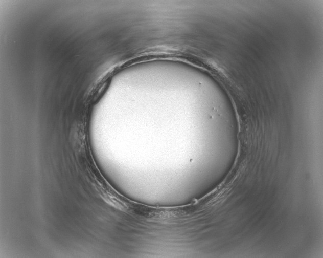 X0000060751355200512011435