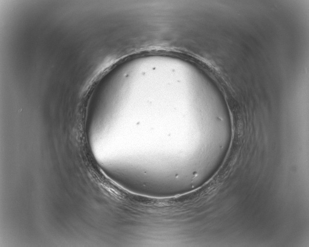 X0000060751359200512011435