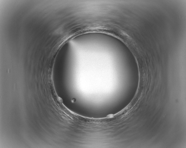 X0000060751361200512011435