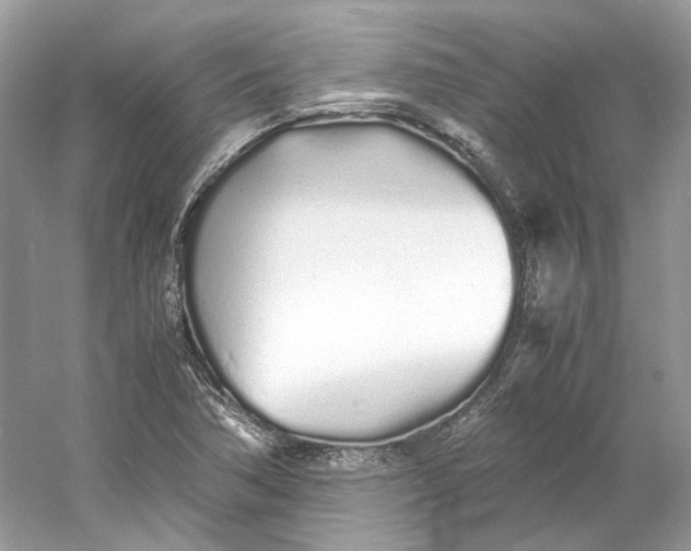 X0000060751362200512011435