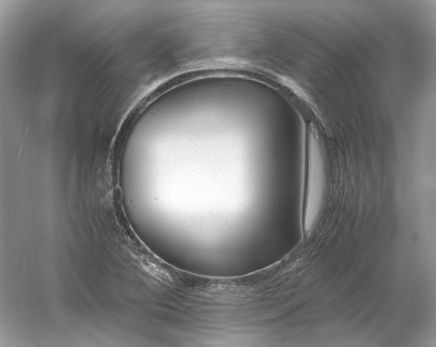 X0000060751364200512011435