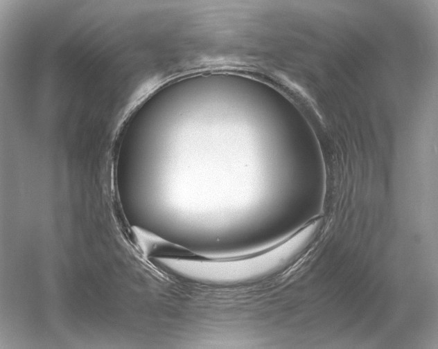 X0000060751365200512011435