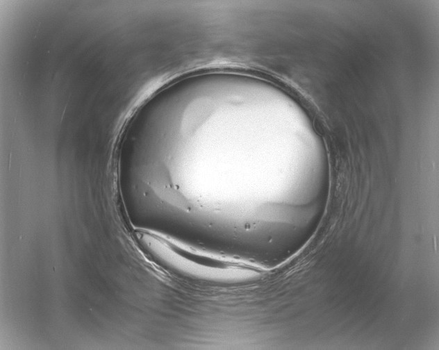 X0000060751367200512011435