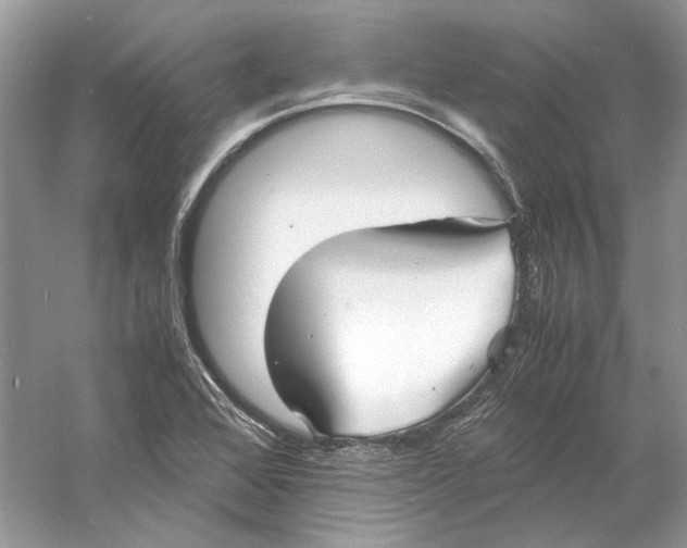 X0000060751368200512011435