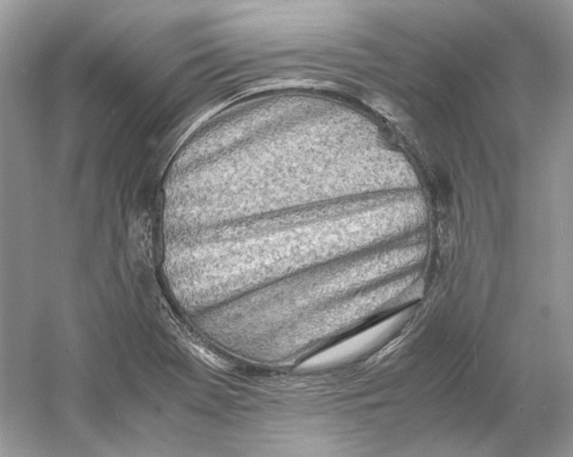 X0000060751369200512011435