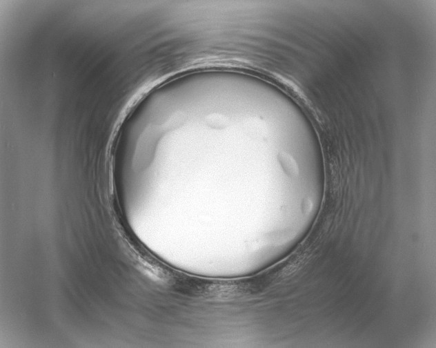 X0000060751371200512011435