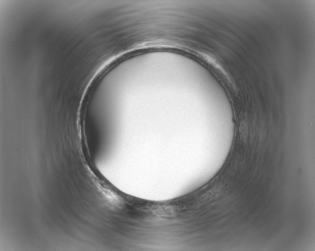 X0000060751372200512011435
