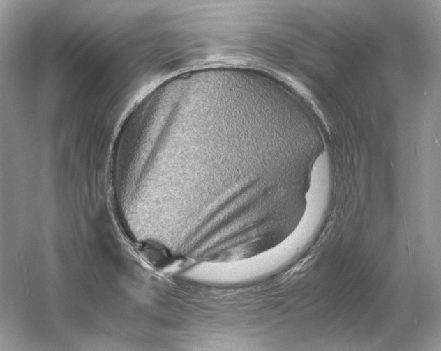 X0000060751373200512011435